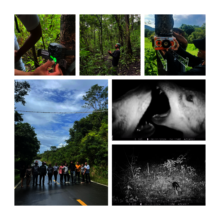 Biodiversity programs