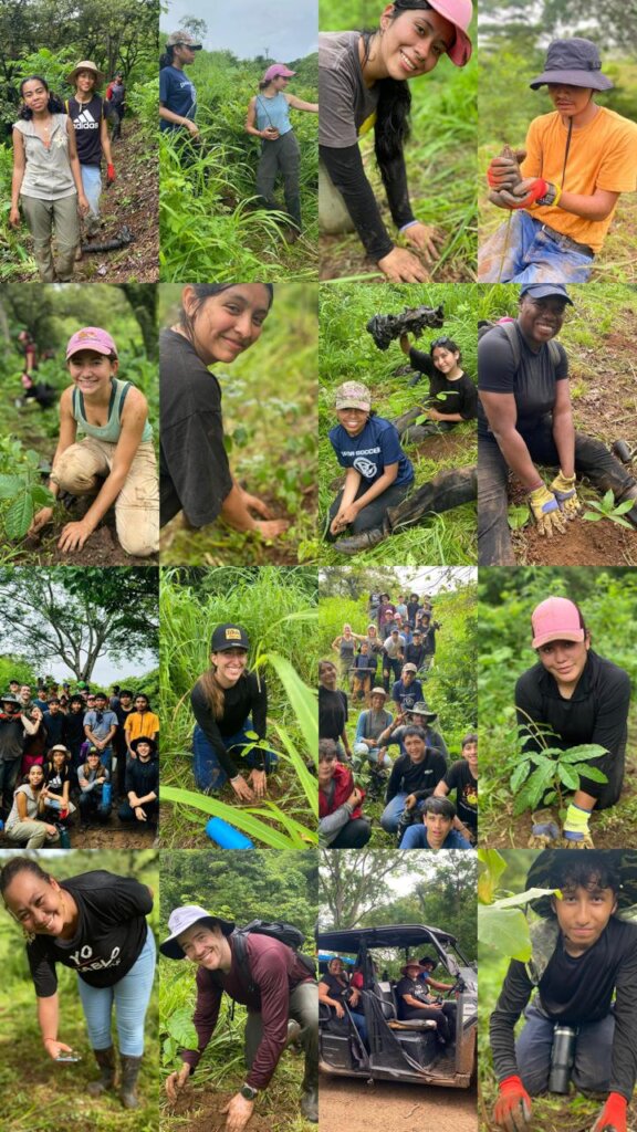 Reforestation Season 2024