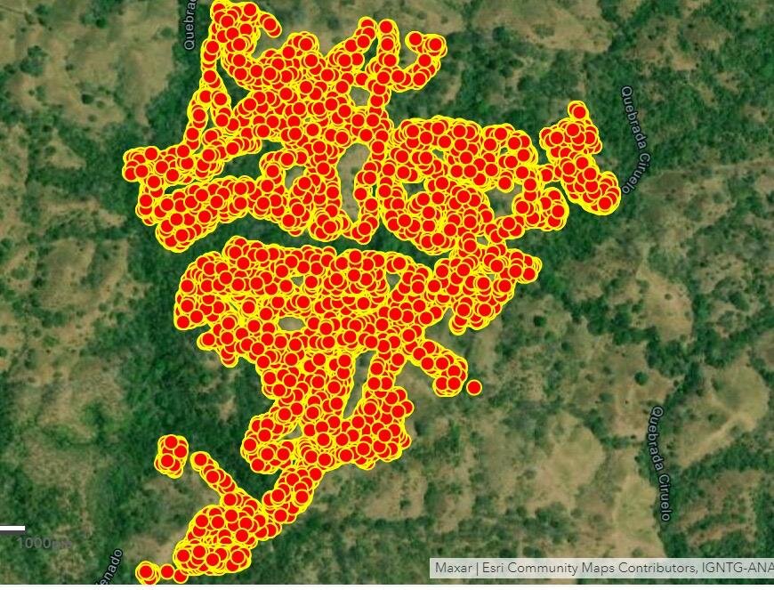 Monitoring Map of One Parcel