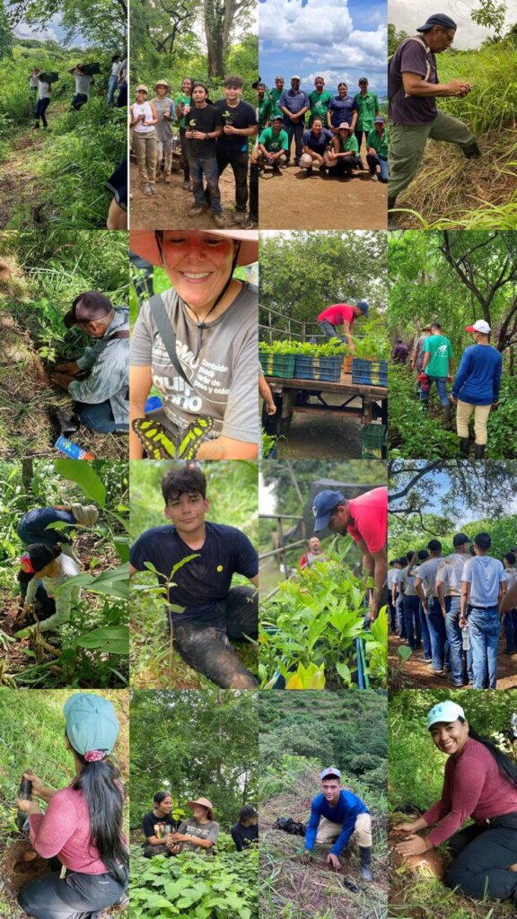 100,000 Trees for Azuero, Planting our Future