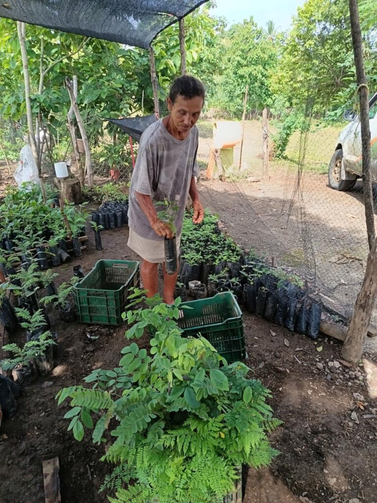 100,000 Trees for Azuero, Planting our Future