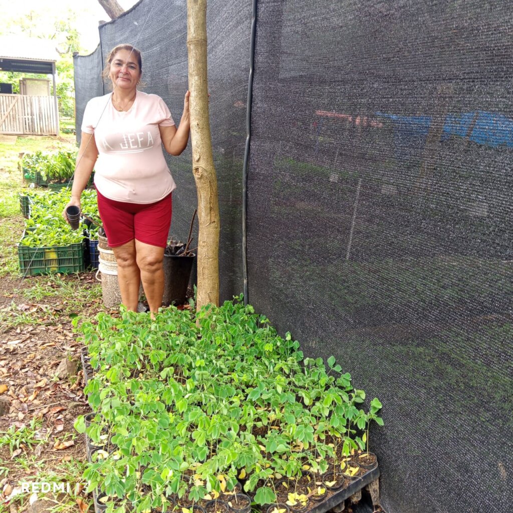 100,000 Trees for Azuero, Planting our Future