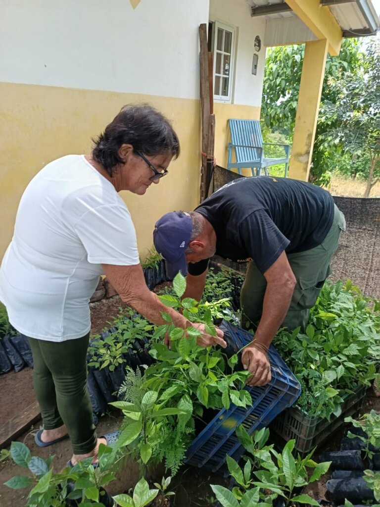 100,000 Trees for Azuero, Planting our Future