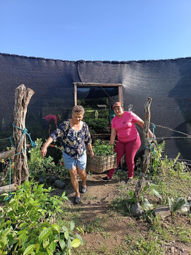 100,000 Trees for Azuero, Planting our Future