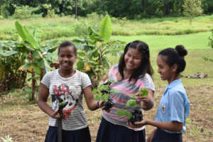 Local volunteer students