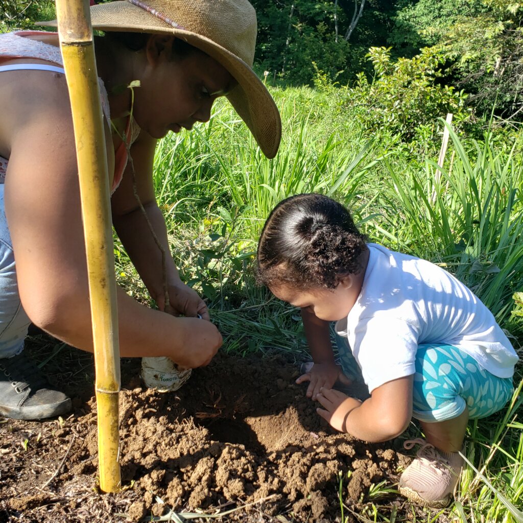 Plant 20,000 trees in Azuero's rural communities