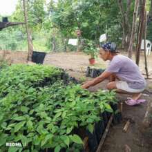 100,000 Trees for Azuero, Planting our Future