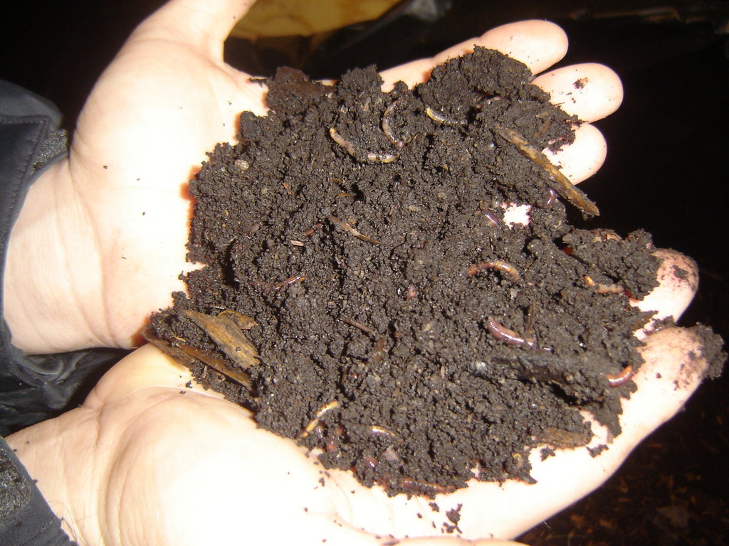 Urban agriculture job training in Louisville, Ky. GlobalGiving