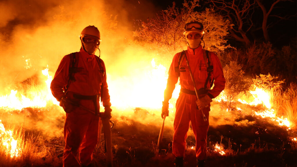 Help volunteer firefighters in forest fires