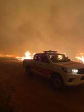 Forest fires