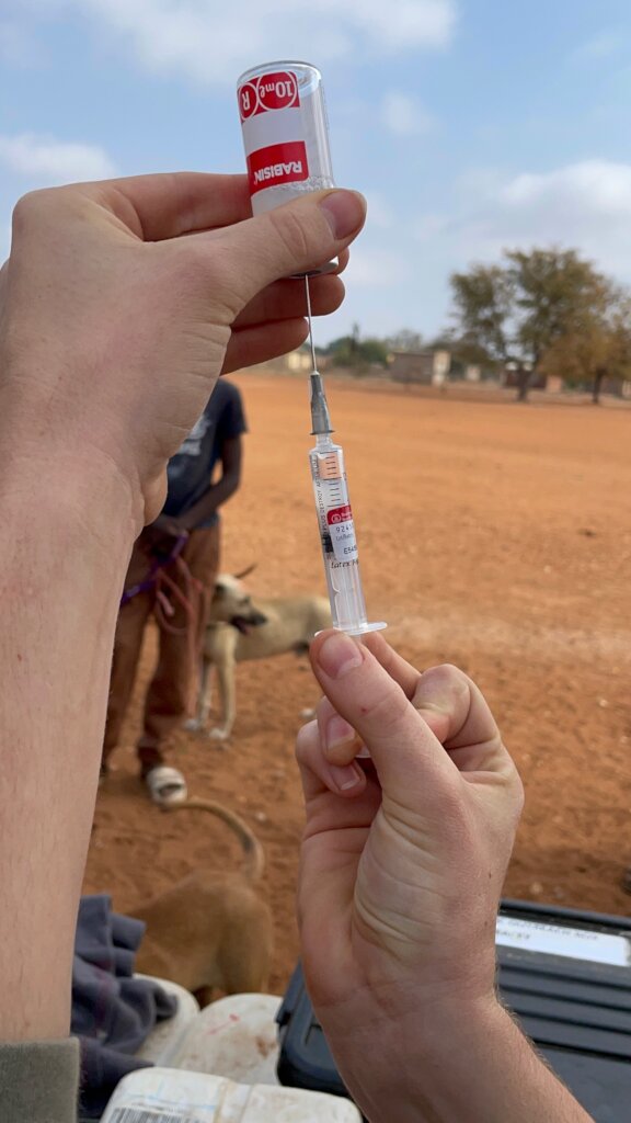 Build a community vet clinic in rural South Africa