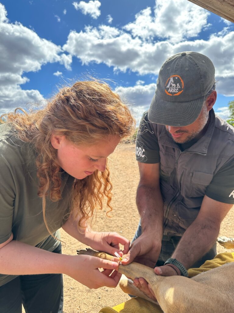 Build a community vet clinic in rural South Africa