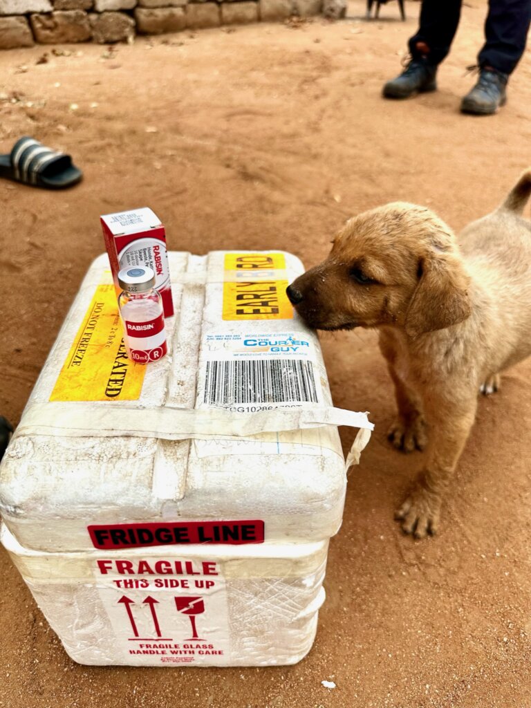 Build a community vet clinic in rural South Africa