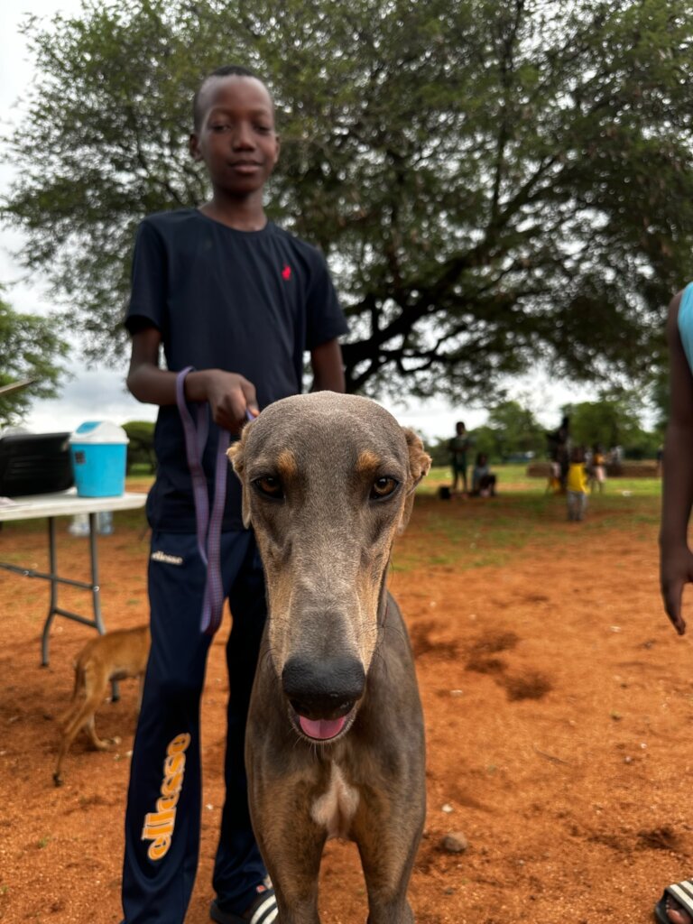 Build a community vet clinic in rural South Africa