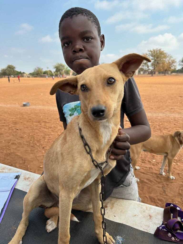Build a community vet clinic in rural South Africa