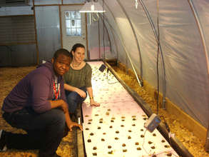Adding plants to the grow bed