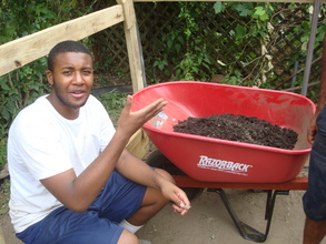 Fertilizer for plants in the aquaponics system