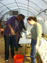 Andrew adding nutrients