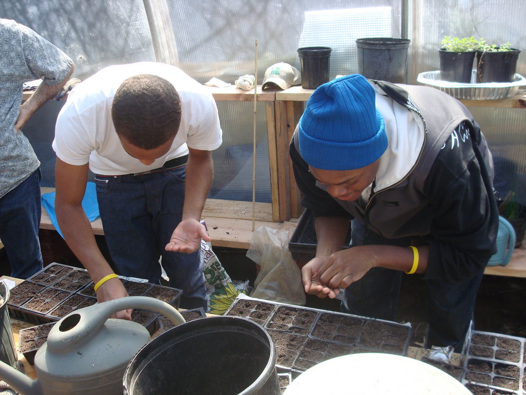Build aquaponics center in Brooklyn