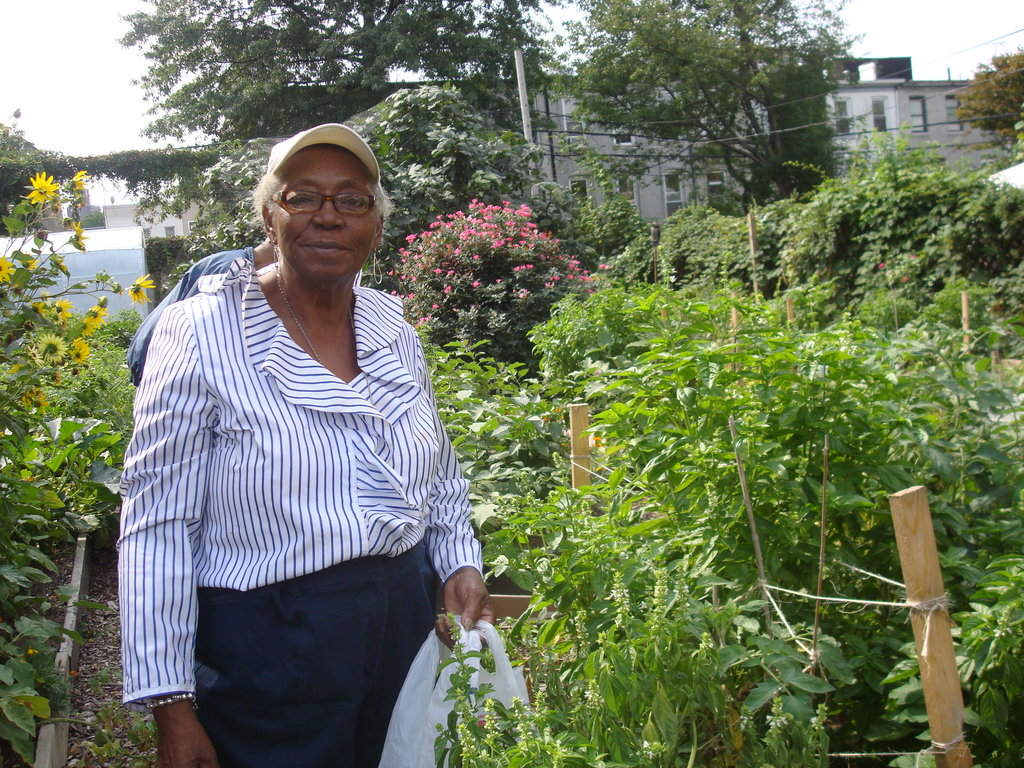 Build aquaponics center in Brooklyn