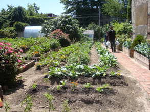 Build aquaponics center in Brooklyn
