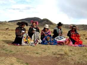 Alpaca herders work with wool to create products.