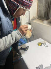 Creating handicrafts from alpaca fur