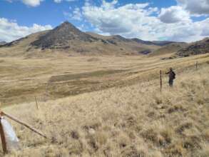 Conducting monitoring and evaluation