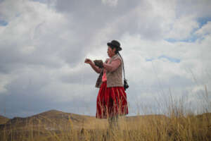 Alpaca herder works with wool amidst the wetlands