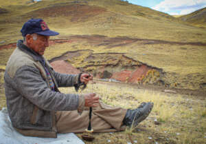 Leader of community works with alpaca wool