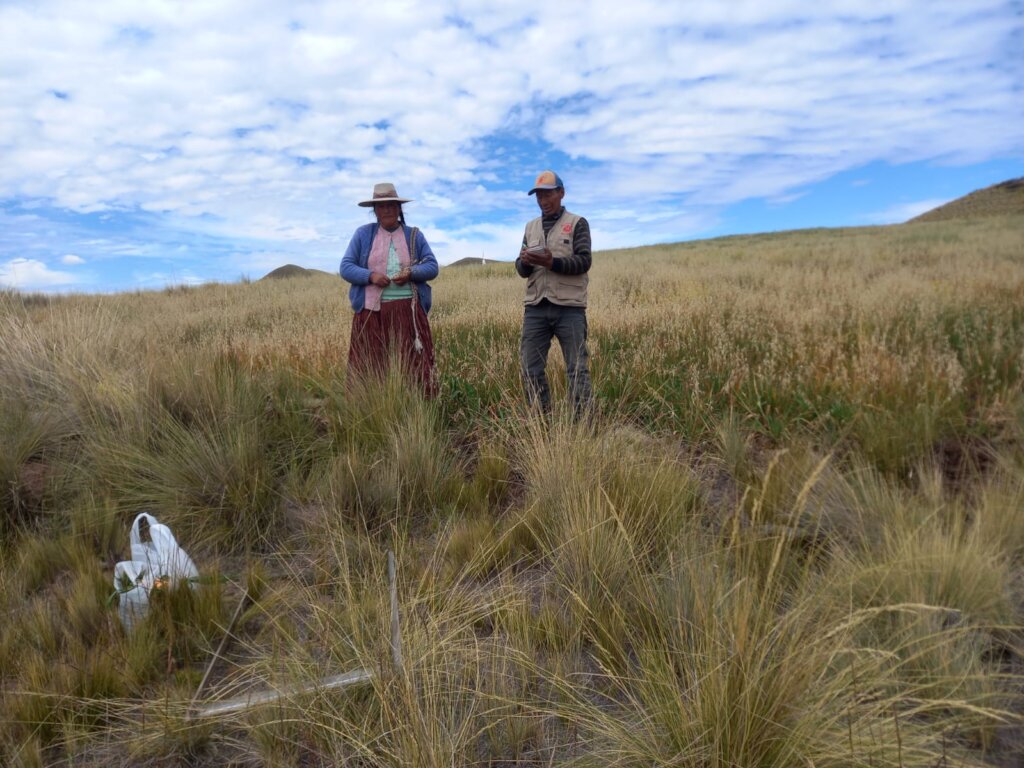 Conducting oat tests