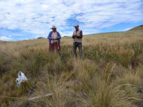 Conducting oat tests