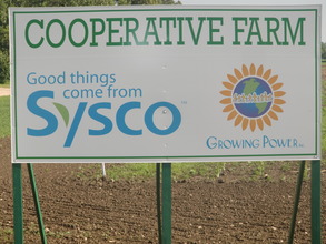Sysco/GP Farm