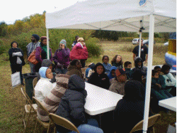 Detroit Black Community Food Security Network pics