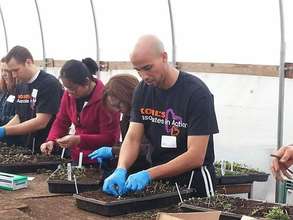 Volunteers assist with our seedling transplants