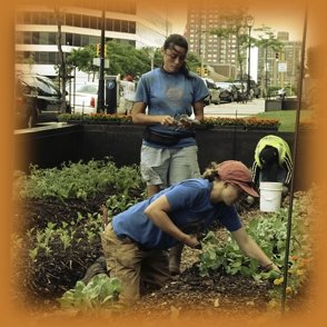 Farm Fresh to Urban Communities in the Midwest