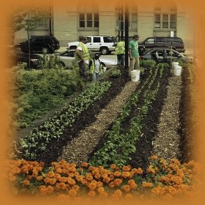 Farm Fresh to Urban Communities in the Midwest