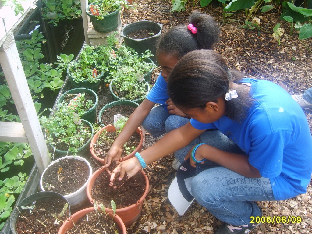 Farm Fresh to Urban Communities in the Midwest