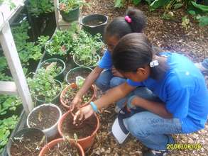 Youth farming