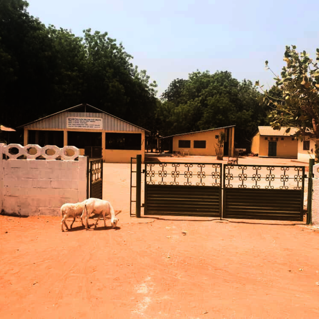 Empower and Transform Maternal and Infant Care