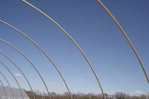 Hoophouse Bones