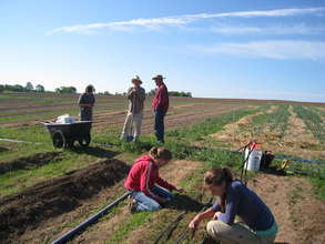 Planting Crew at Amador Hill