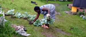 JANE SOUTING OUT VEGETABLES FOR FRAMERS TO TAKE.jp