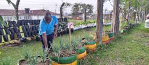 PLANE Executive Director at a demo garden .jpg
