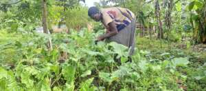 Single Mother in her vegetable garden.jpg
