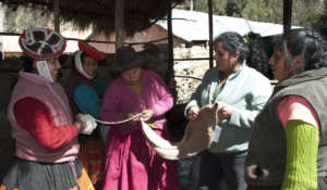 Inspecting the yarn
