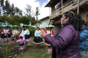 Mercedes leads an intro with new cooperatives