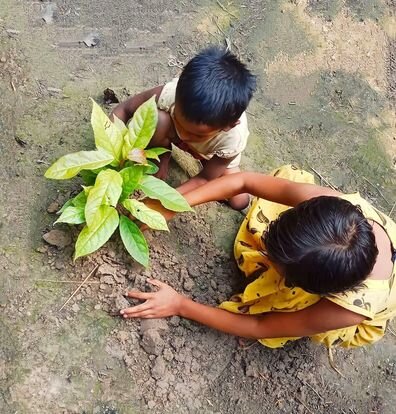Sponsor A tree for a child's future in Bangladesh