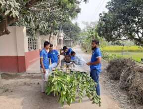 Distribute Tree