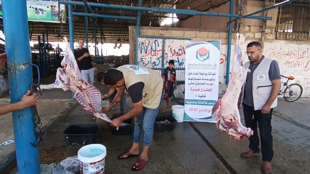 Hearts for Gaza: Aid and Relief